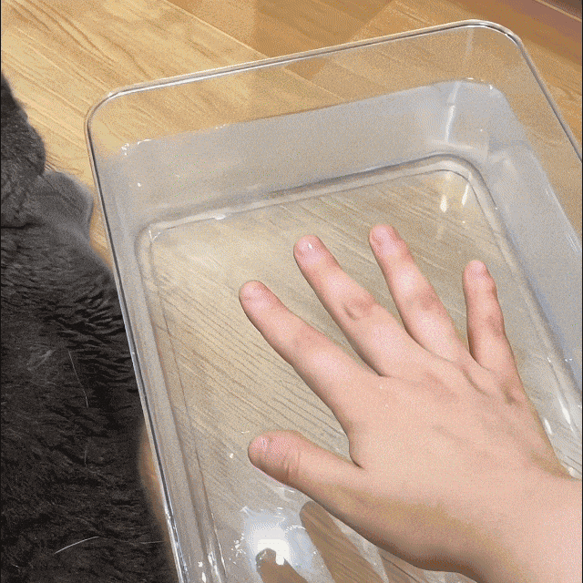 Cepillo de Vapor Anti-Pelo ✨ Nexus Green Shop | Masaje y Limpieza 3 En 1 + Paga al Recibir